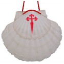 Vieira Camino de santiago